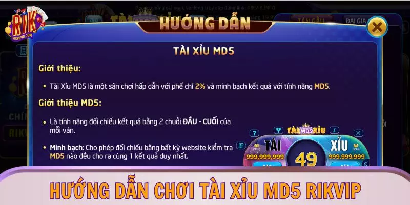 Hướng dẫn chơi tài xỉu MD5 RIKVIP