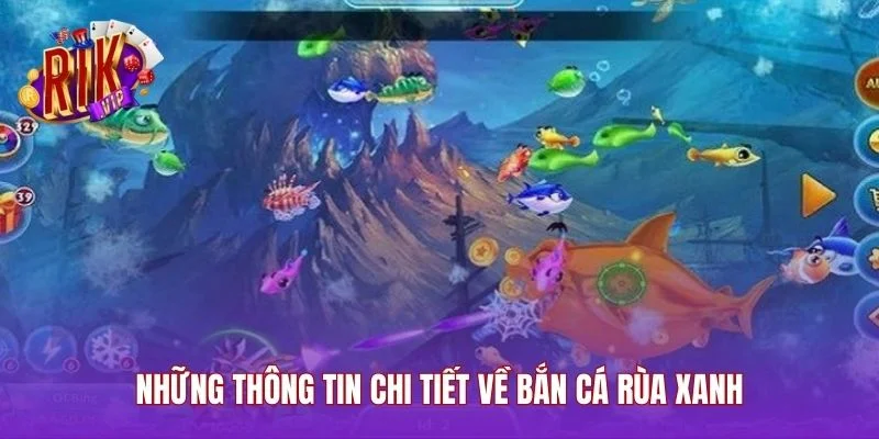 Những thông tin chi tiết về bắn cá Rùa Xanh